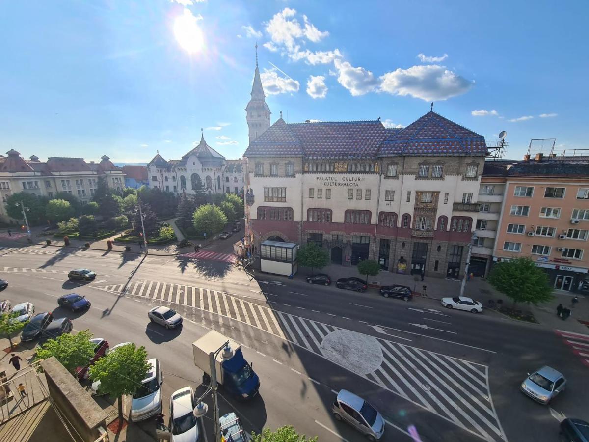 - View In Town * Targu Mures